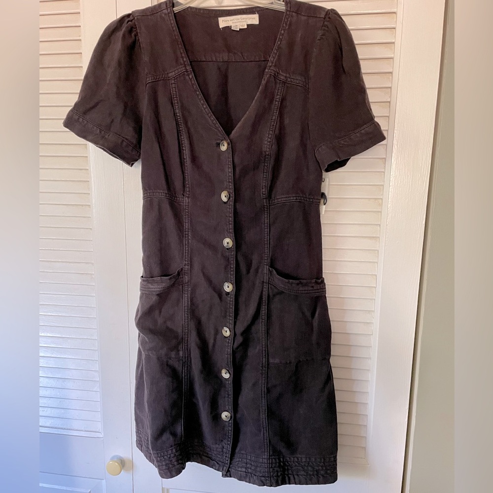 Pilcro and the Letterpress Dark Brown Button-Front Dress